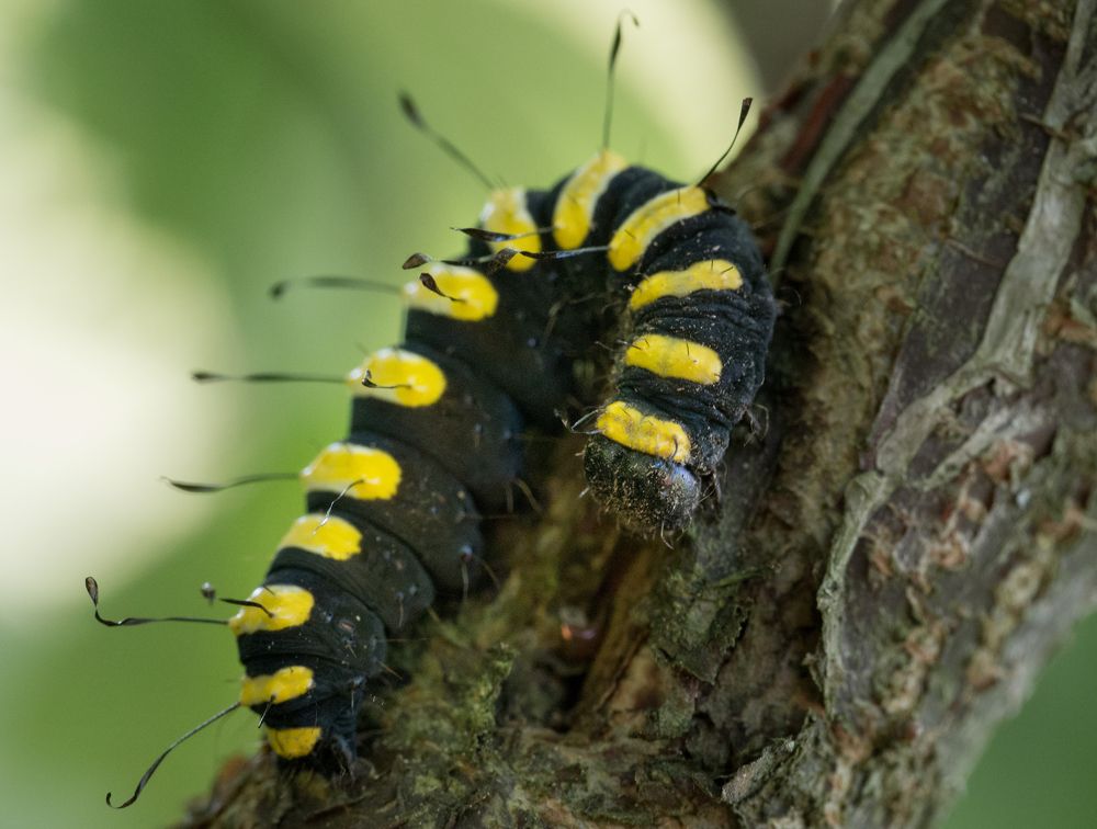 Photograph by Руслан Гончар