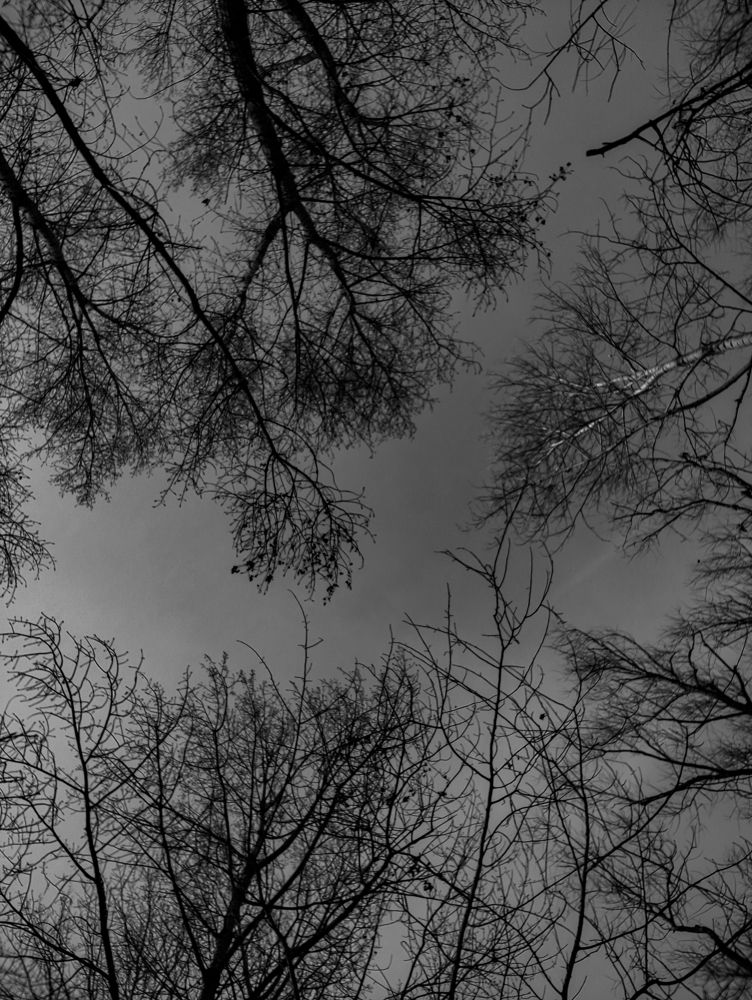 Photograph by Ирина Шибитова