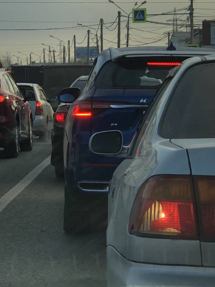 Фотография автора Светлана Гончарова