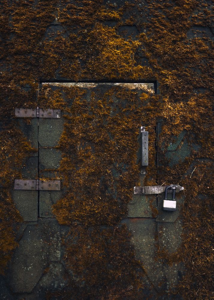 Фотография автора Анна