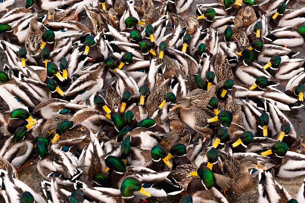 Photograph by Гульшат Хаертдинова