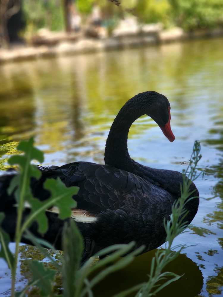 Photograph by Igor Shulkin