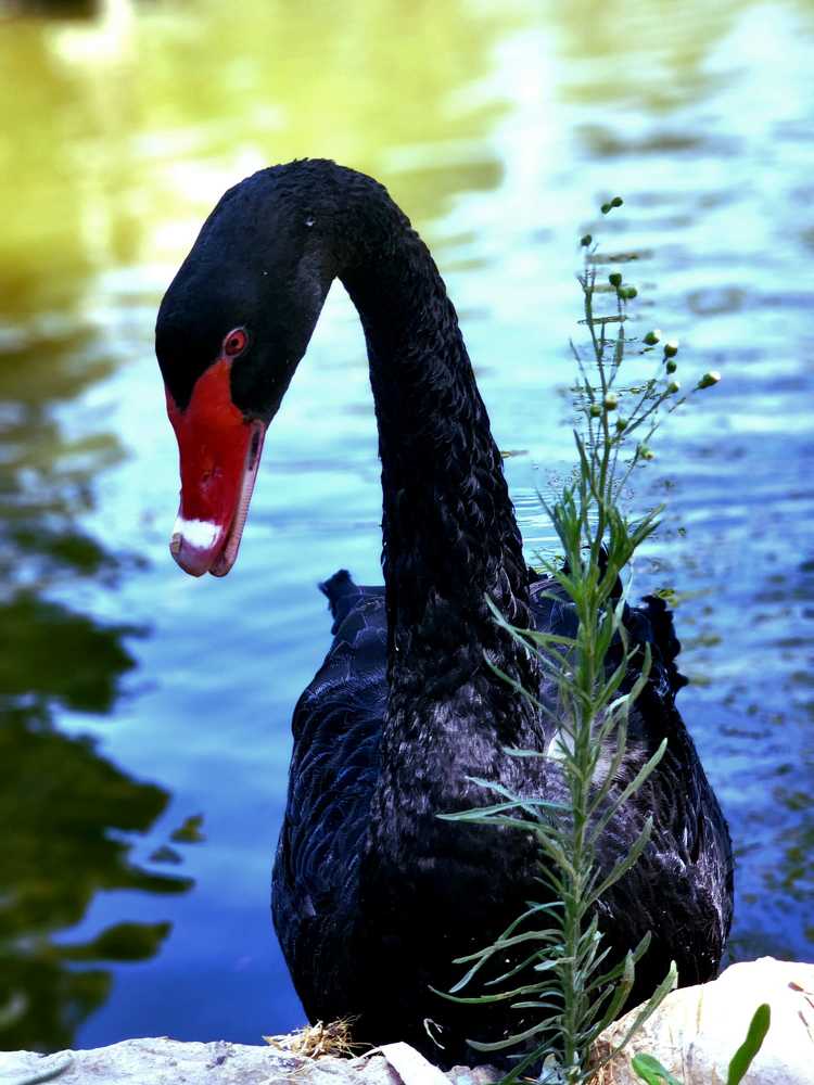 Photograph by Igor Shulkin