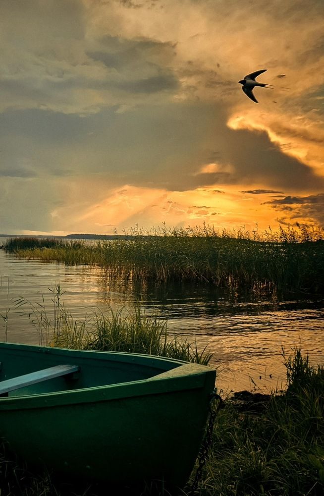 Photograph by Svetlana