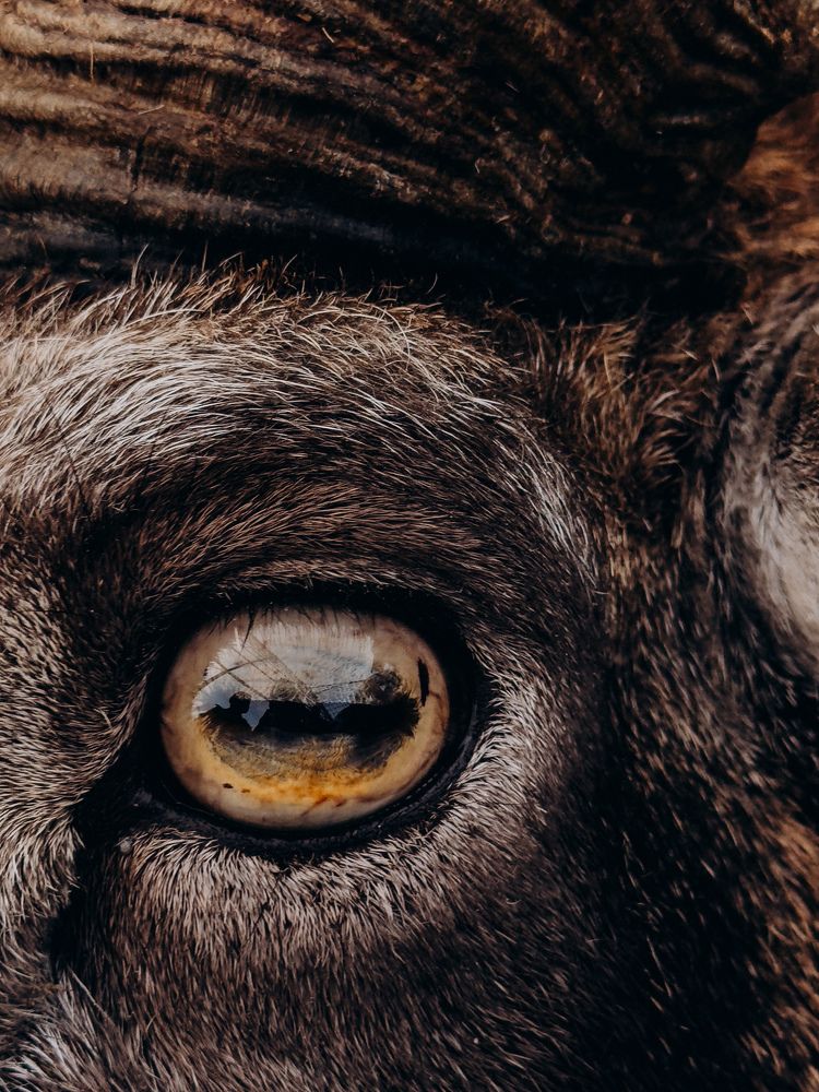 Photograph by Алиса Нежинская