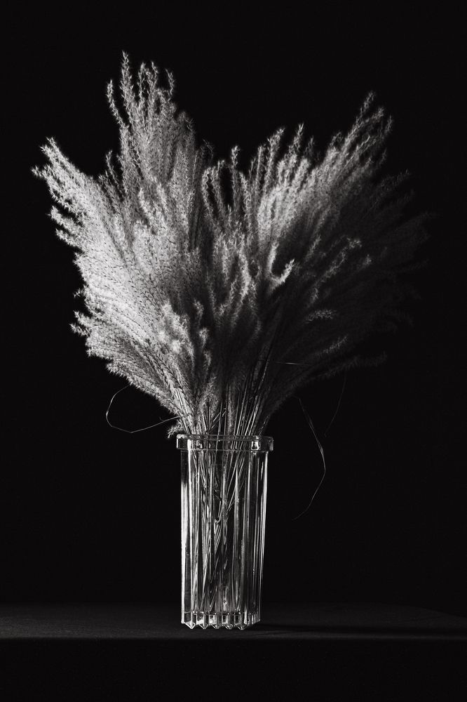 Фотография автора Невмержицкий Валерий