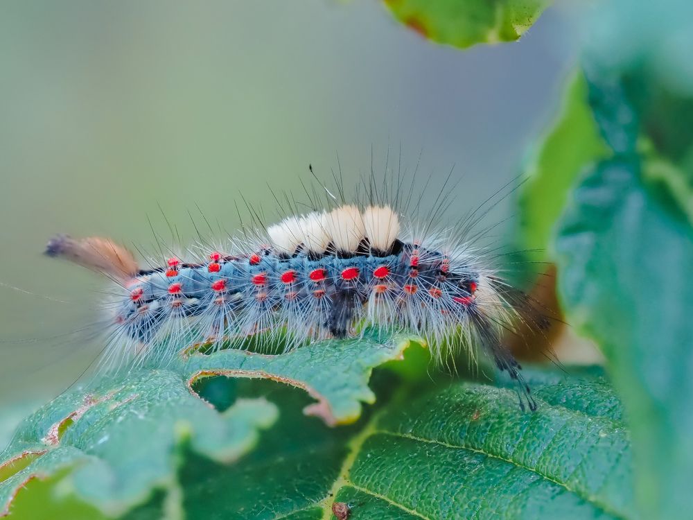 Photograph by Ирина Протченко