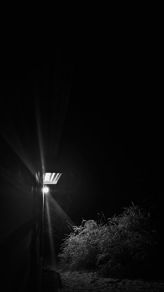 Photograph by Mariia Voloshina