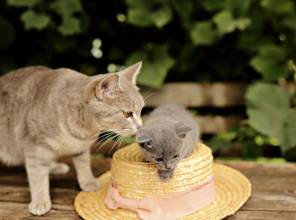 Photograph by Наталья Гусева