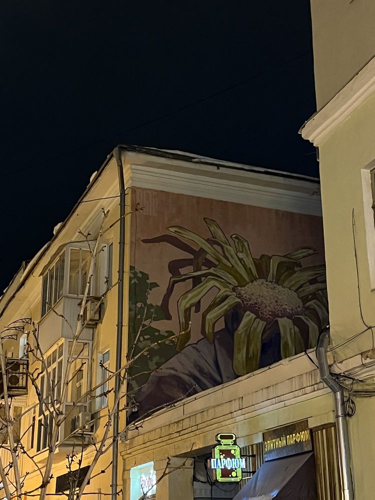 Photograph by Ekaterina