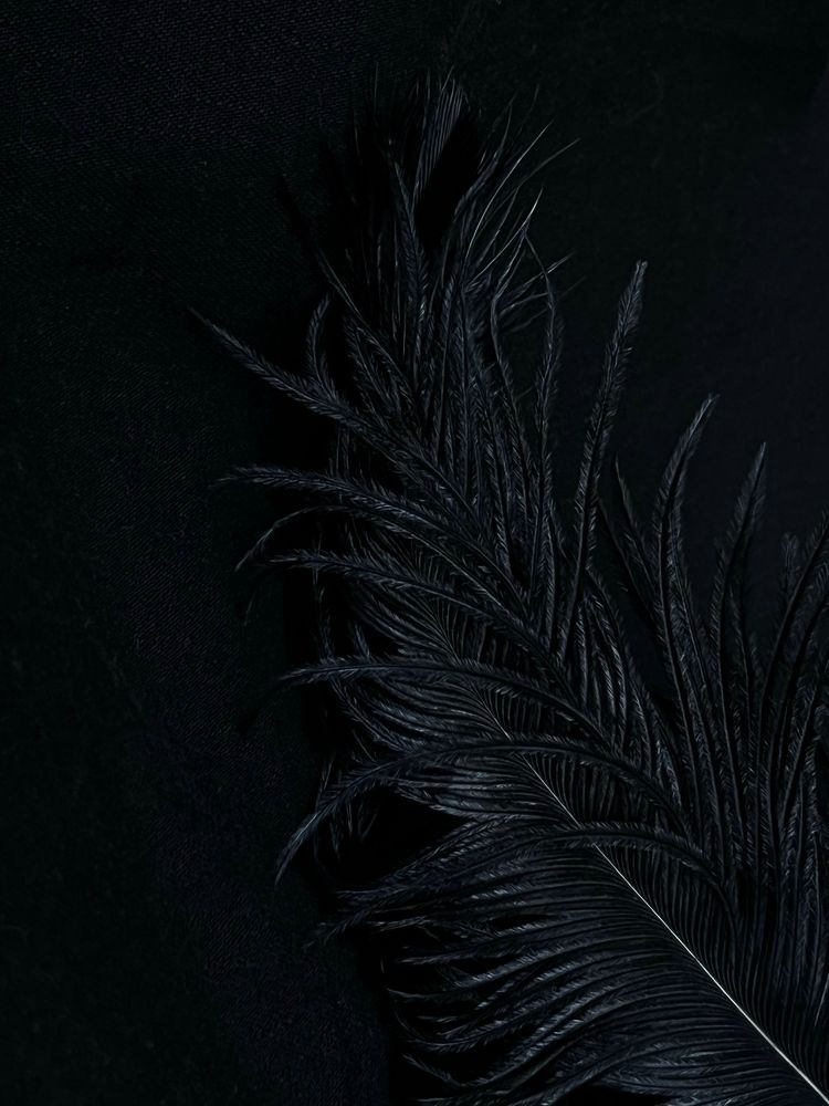 Photograph by Ekaterina