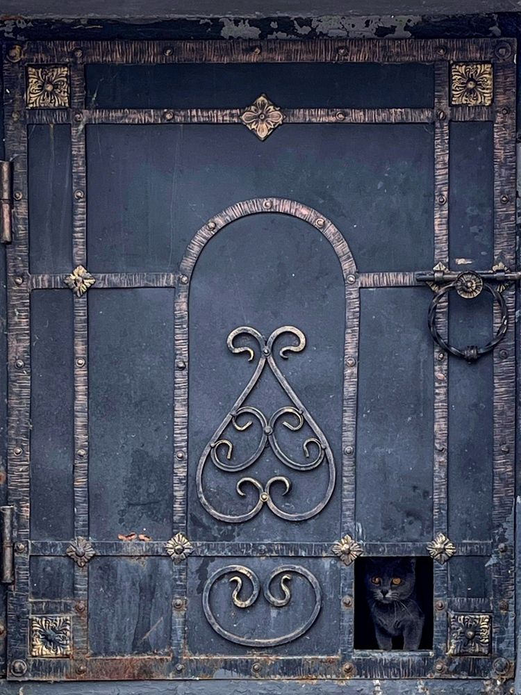 Photograph by Ekaterina