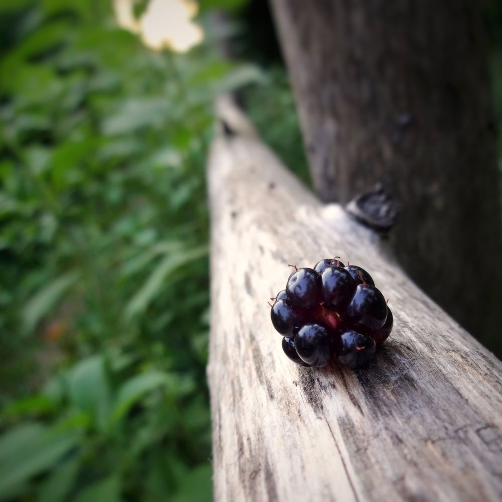 Фотография автора Геннадий Ломеко