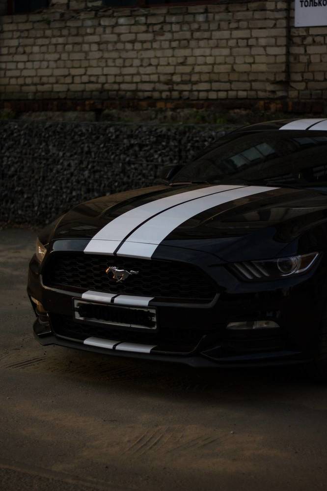 Фотография автора Софья Алексеева