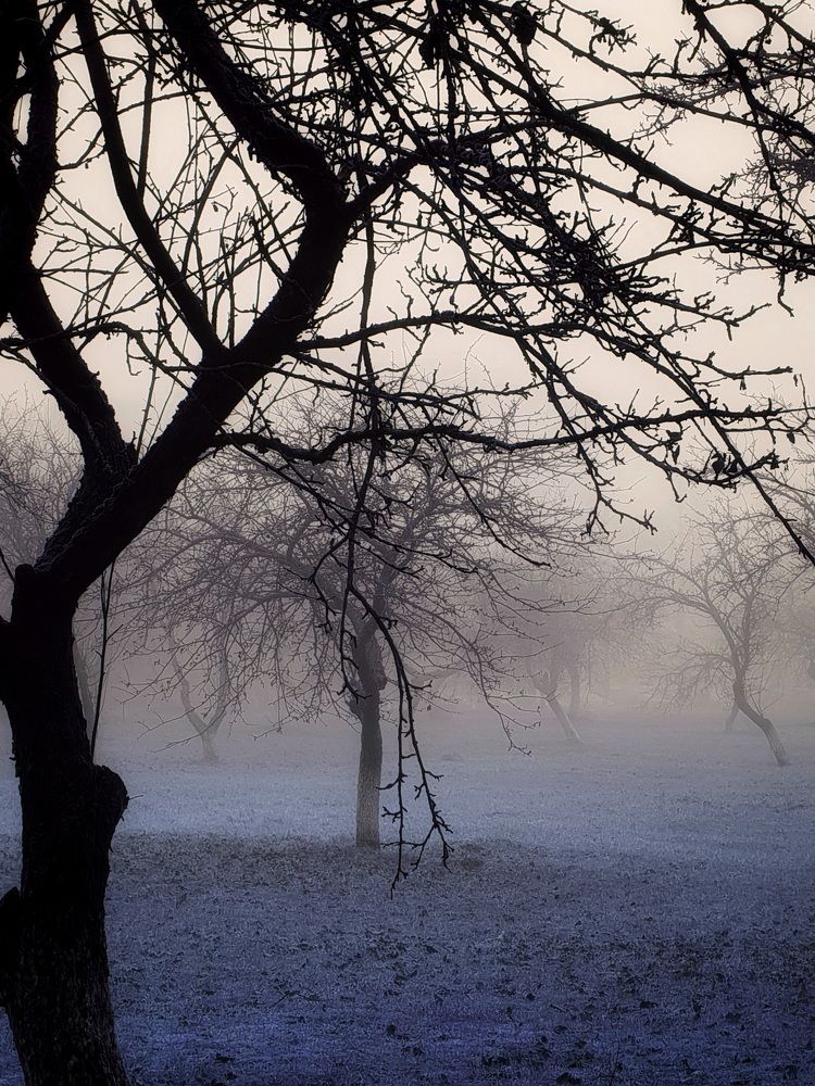 Фотография автора Ирина Дроздова