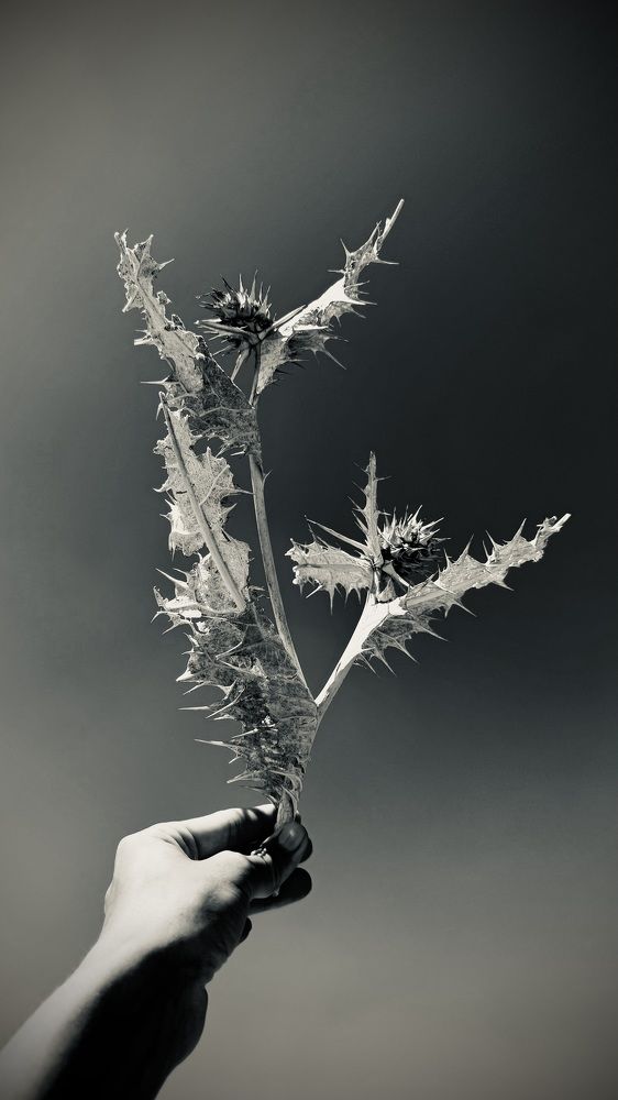 Photograph by Oksana Shchegolkova