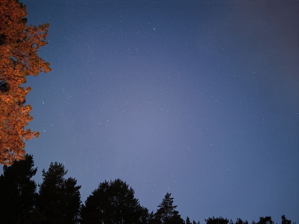 Photograph by Анастасия Малинина