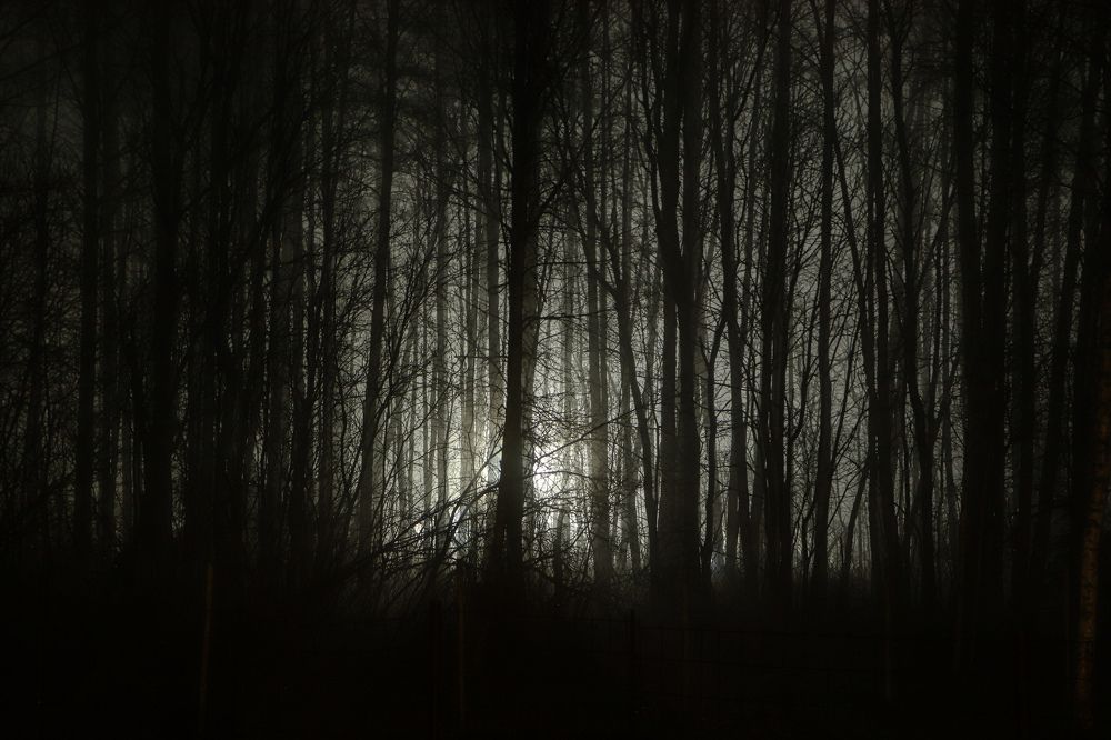 Photograph by Алексей Голубев