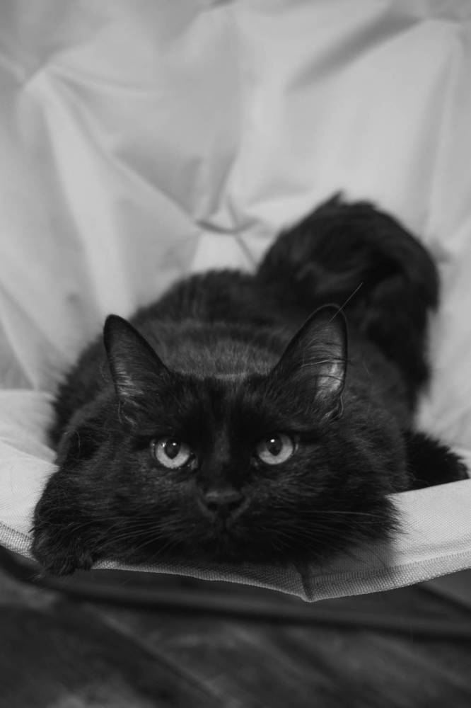 Photograph by Алексей Голубев