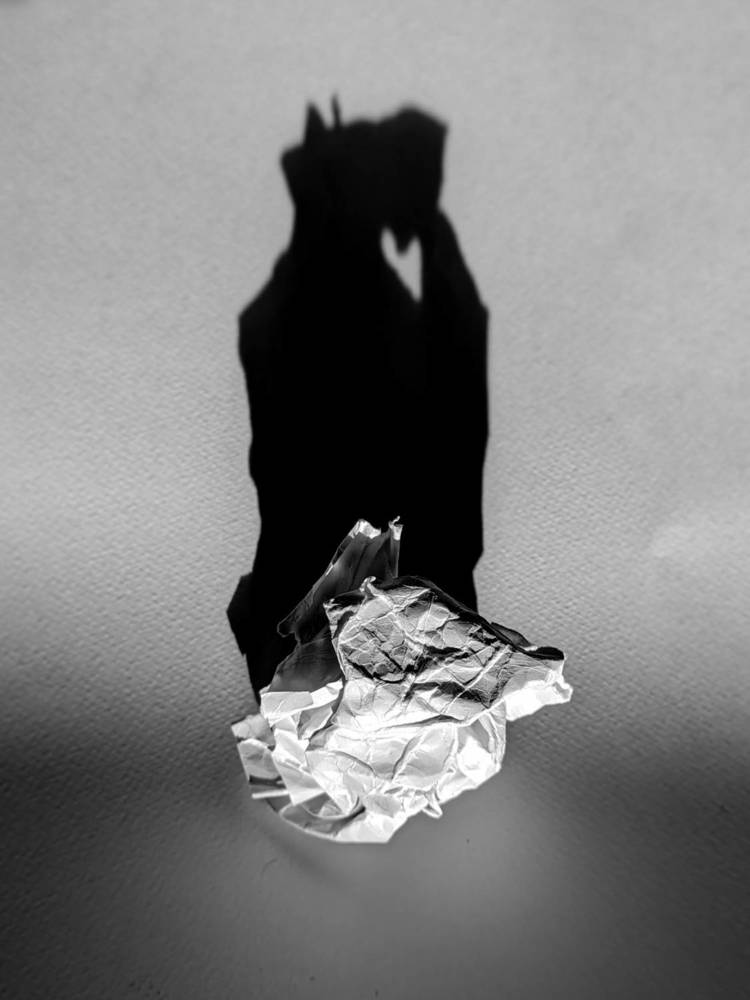 Фотография автора Ксения Шляйхер