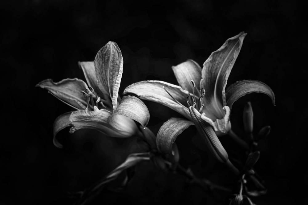 Фотография автора Olga Shchetinina