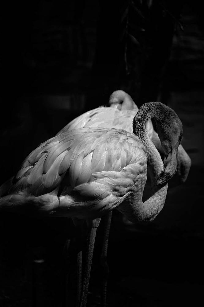 Фотография автора Olga Shchetinina