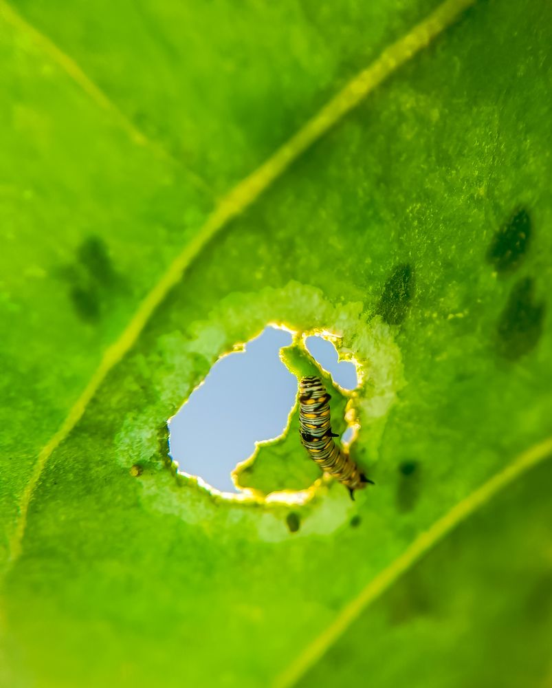 Photograph by Suthakaran Gokulananthan