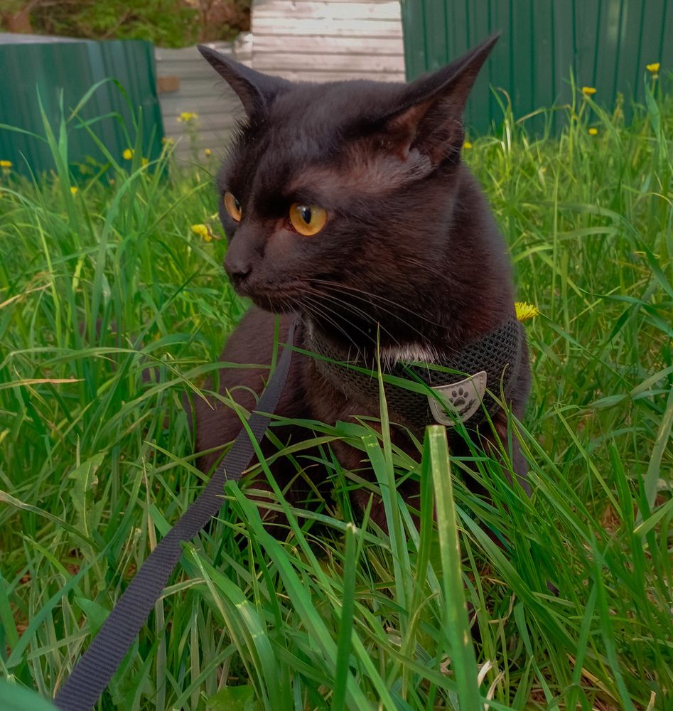 Photograph by Лена