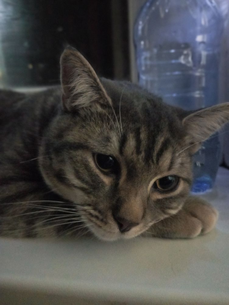 Photograph by Лена