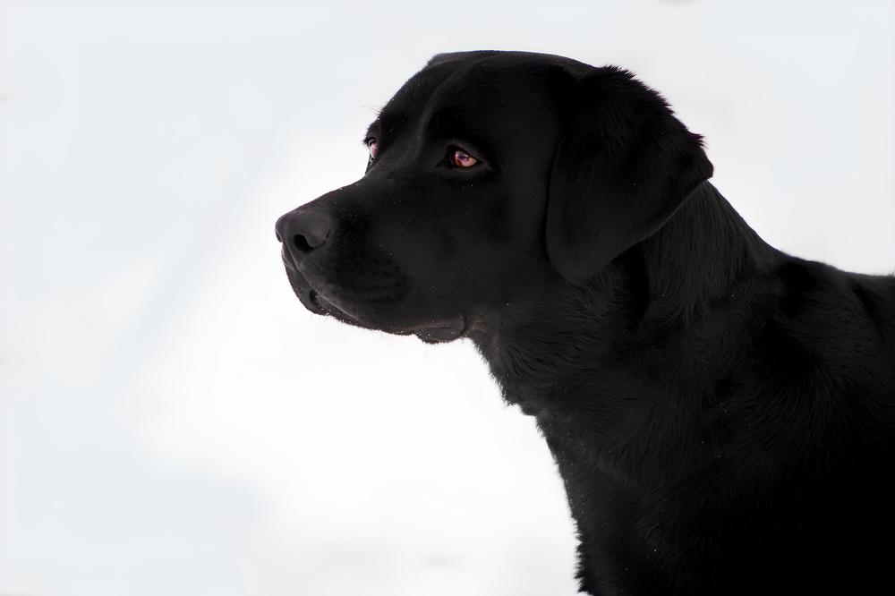 Photograph by Мария Юшина