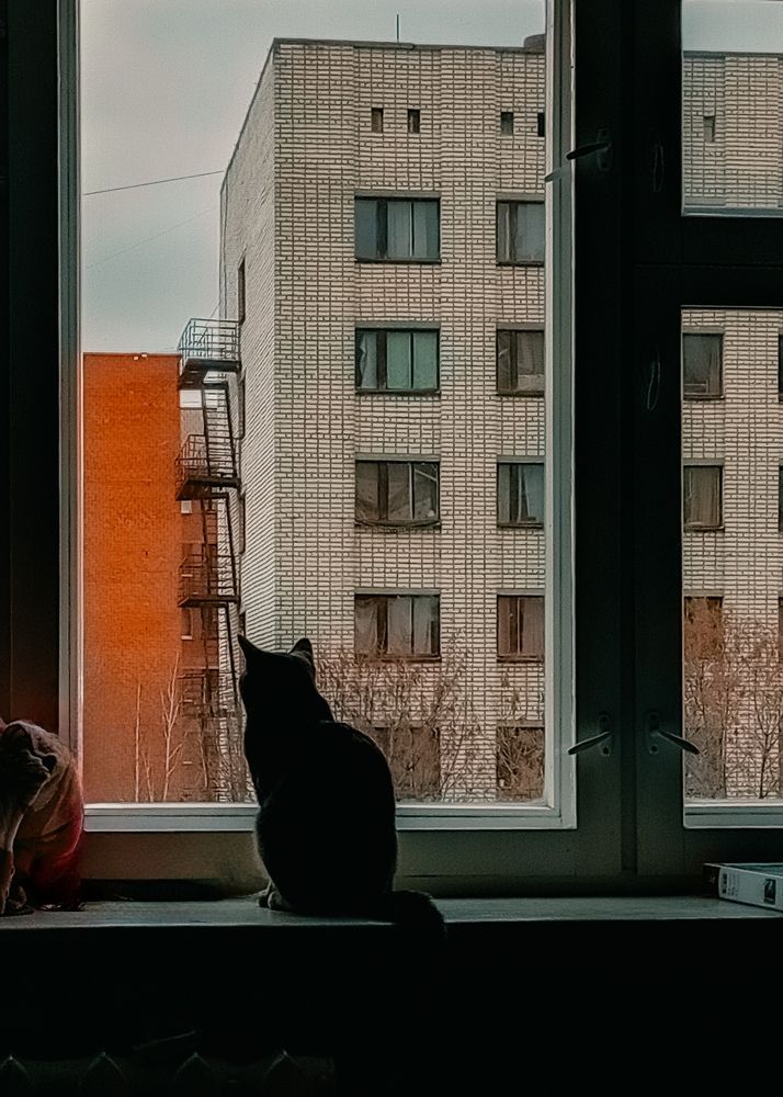 Photograph by Лена