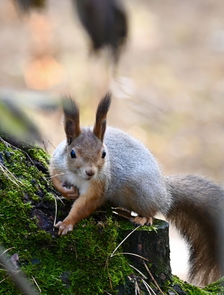 Photograph by Наталья Маркова