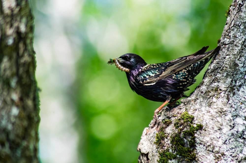 Фотография автора Виктория Зеленкова