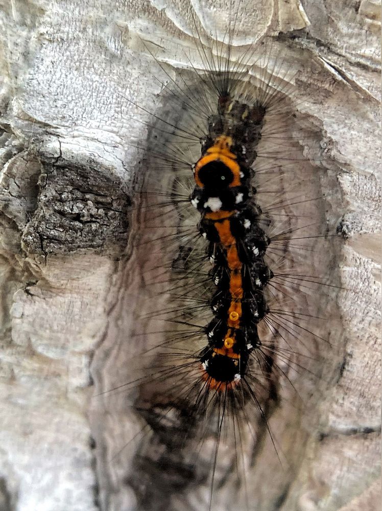 Photograph by Станислава Садыкова