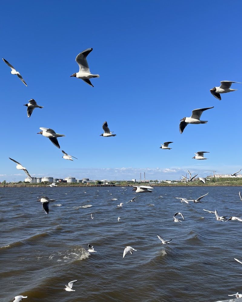 Photograph by Валерия Кутуева