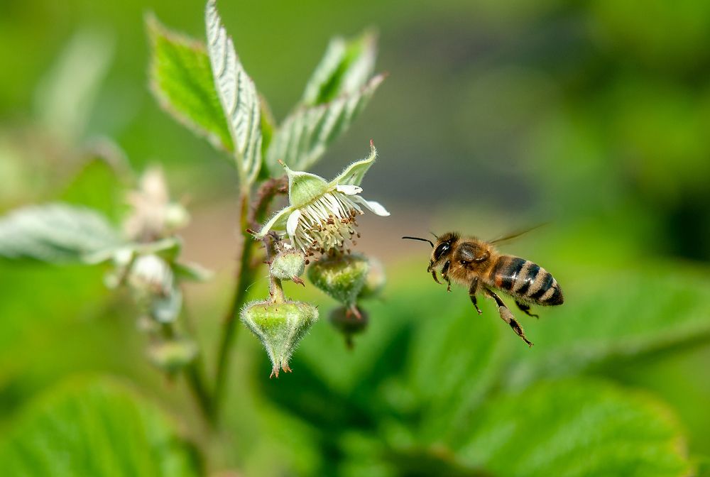Photograph by Семенов Александр