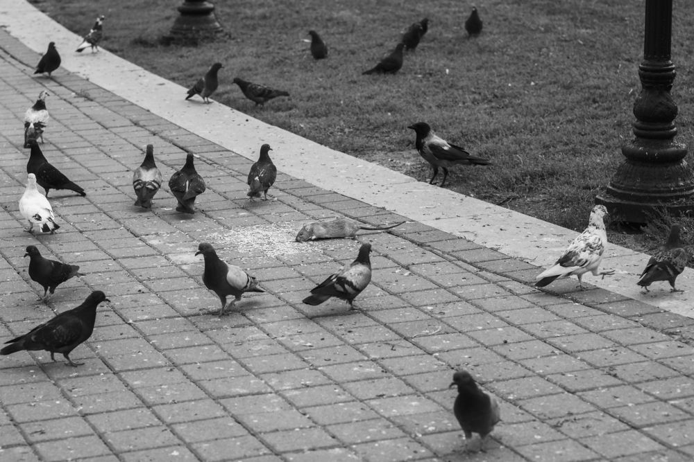 Фотография автора Наталья Почтенная