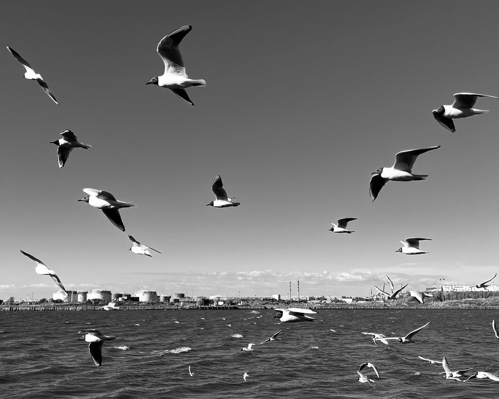 Photograph by Валерия Кутуева