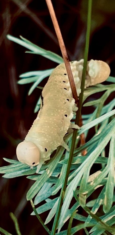 Photograph by Екатерина Усольцева