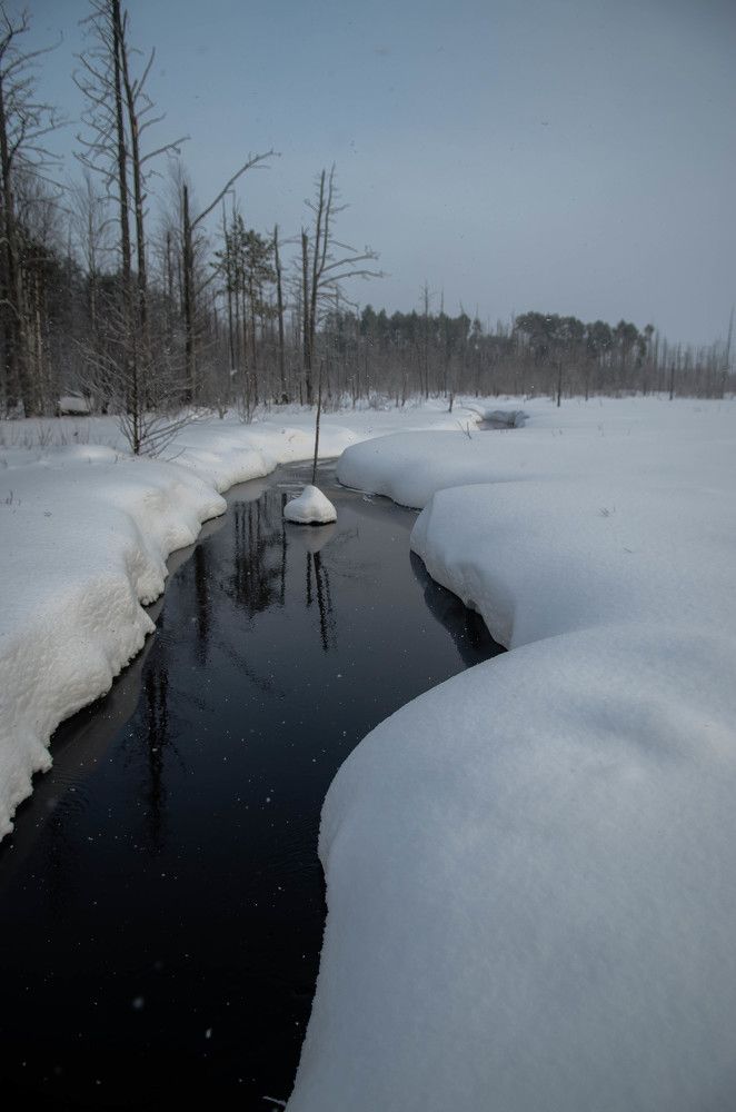 Фотография автора Alexander Bogdanov