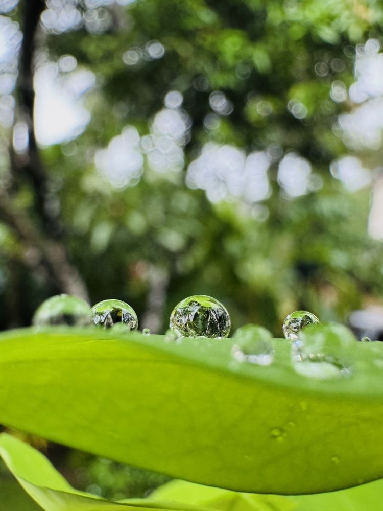 Photograph by Naveena Wimalarathne