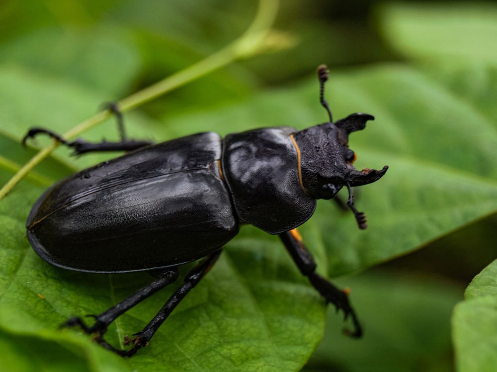 Photograph by Виктор Сёмушкин