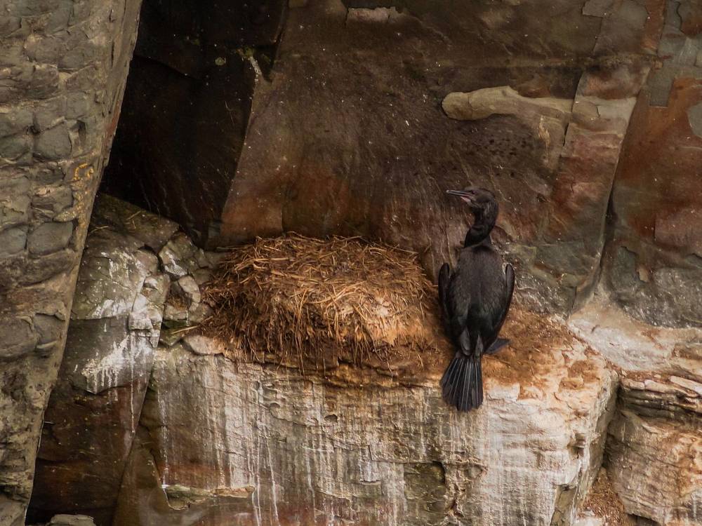 Photograph by Виктор Сёмушкин