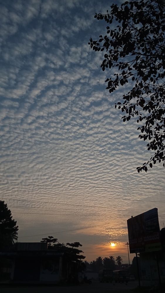 Photo #11297541