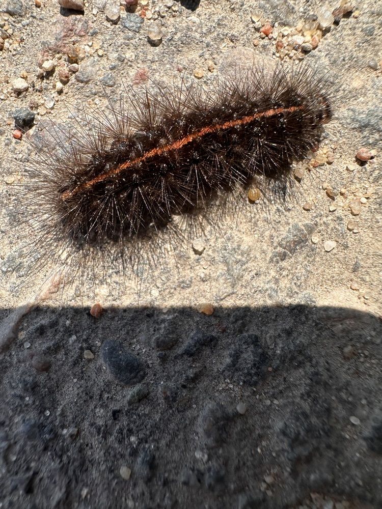 Photograph by Наумова Татьяна