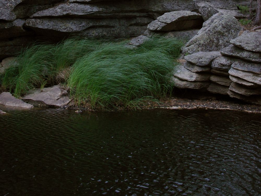 Photograph by Елена Алешкевич