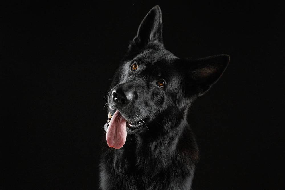 Photograph by Яна Нарбутович