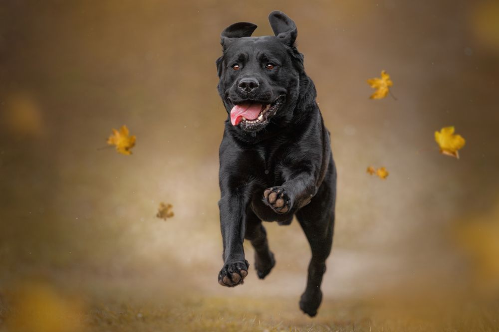 Photograph by Яна Нарбутович