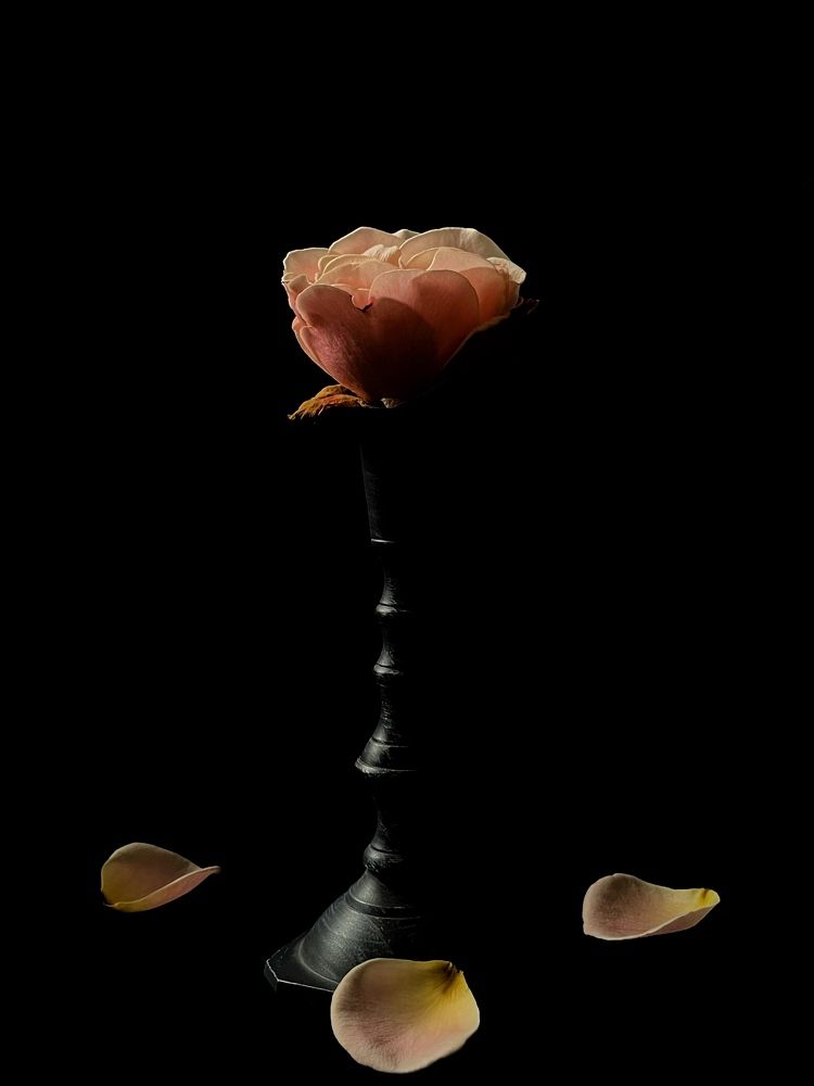 Фотография автора Наталья Попова