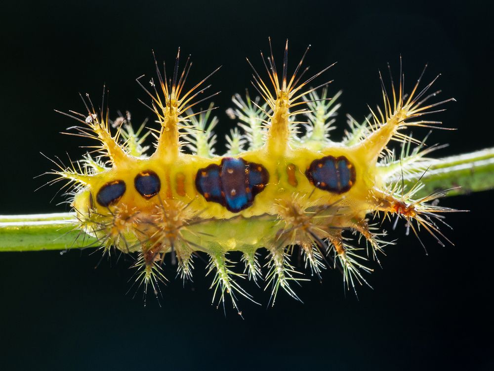 Photograph by TAN LING ZI